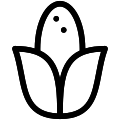 Corn Vector SVG Line Icon