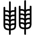 Rye Grain Vector SVG Line Icon