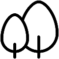 Thuja Tree Vector SVG Line Icon