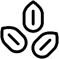 Peanuts 2 Vector SVG Line Icon