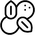 Peanuts Vector SVG Line Icon