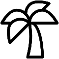 Palm Tree Vector SVG Line Icon